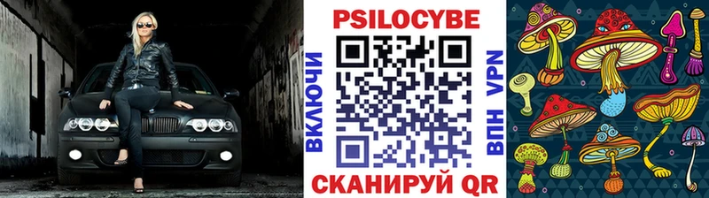дарнет шоп  Темрюк  блэк спрут как войти  Псилоцибиновые грибы Psilocybine cubensis 